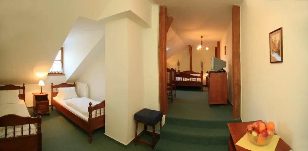 Photo 4 of Hotel Praha 
